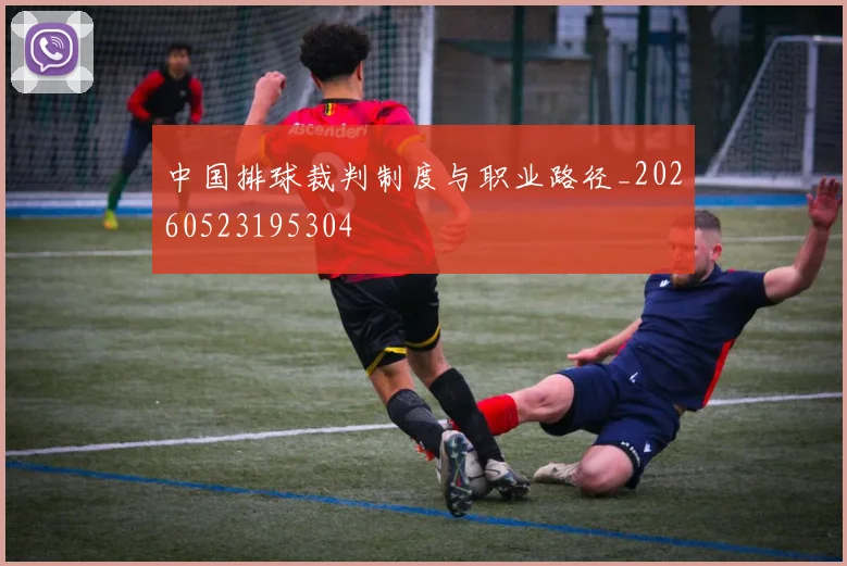 中国排球裁判制度与职业路径_20260523195304